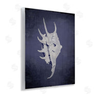 Graffi*tee Studios | Spider Conch on Indigo