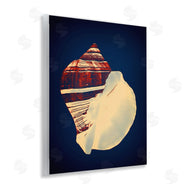 Graffi*tee Studios | Fiber Conch on Blue