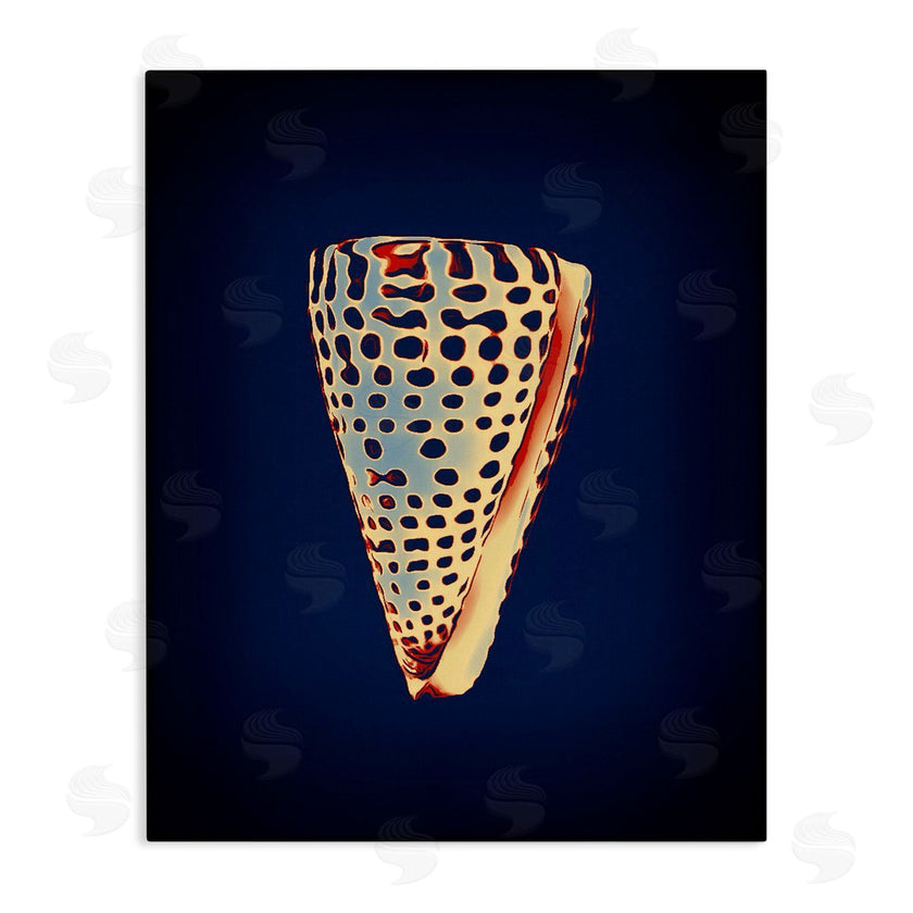 Graffi*tee Studios | Cone Shell on Blue