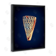 Graffi*tee Studios | Cone Shell on Blue