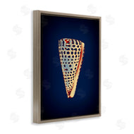 Graffi*tee Studios | Cone Shell on Blue