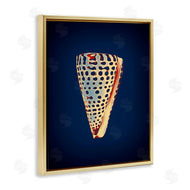 Graffi*tee Studios | Cone Shell on Blue