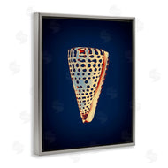Graffi*tee Studios | Cone Shell on Blue