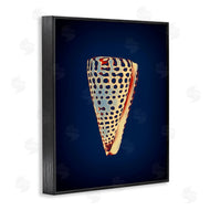 Graffi*tee Studios | Cone Shell on Blue