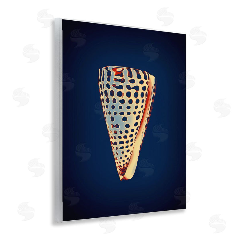 Graffi*tee Studios | Cone Shell on Blue