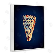 Graffi*tee Studios | Cone Shell on Blue