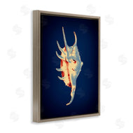 Graffi*tee Studios | Spider Conch on Blue