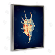 Graffi*tee Studios | Spider Conch on Blue