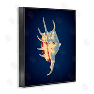 Graffi*tee Studios | Spider Conch on Blue