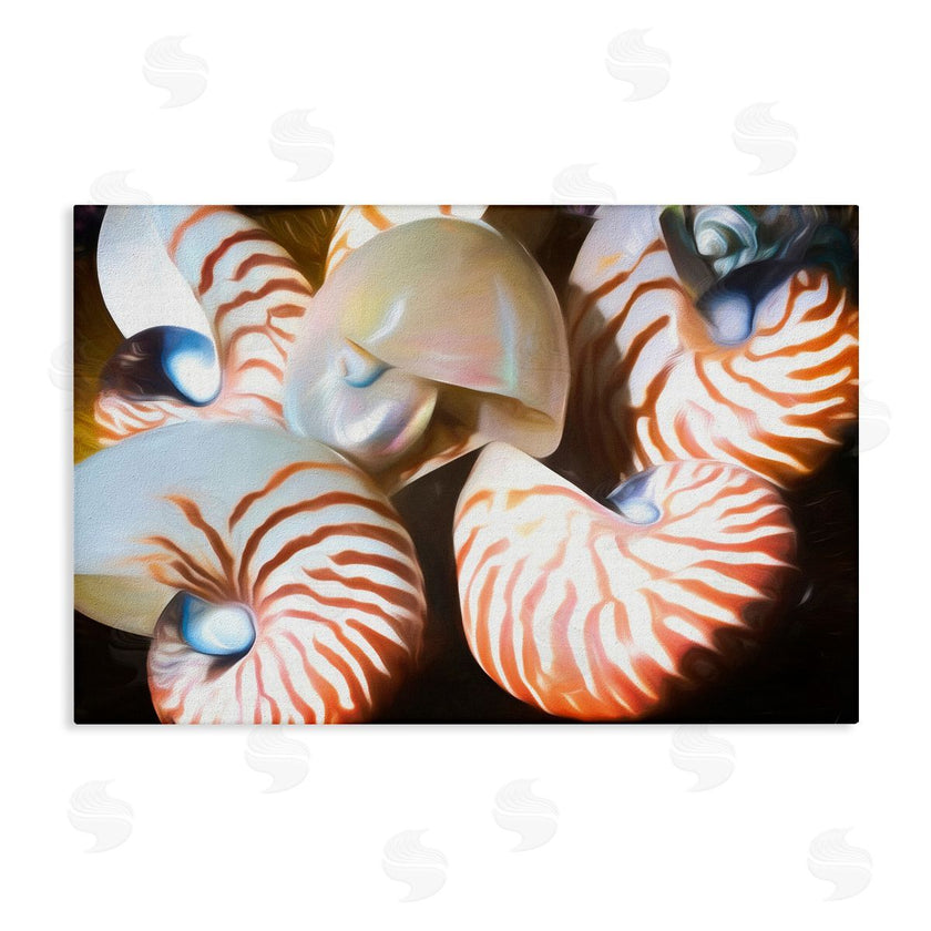 Graffi*tee Studios | Nautilus Shells Cluster