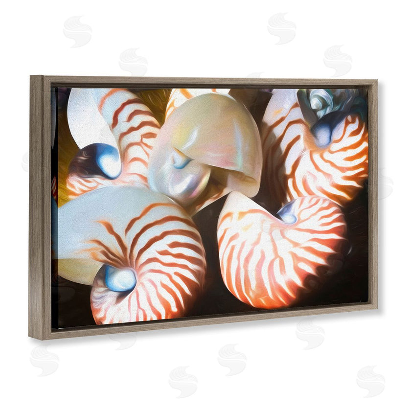 Graffi*tee Studios | Nautilus Shells Cluster