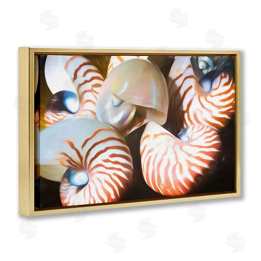 Graffi*tee Studios | Nautilus Shells Cluster