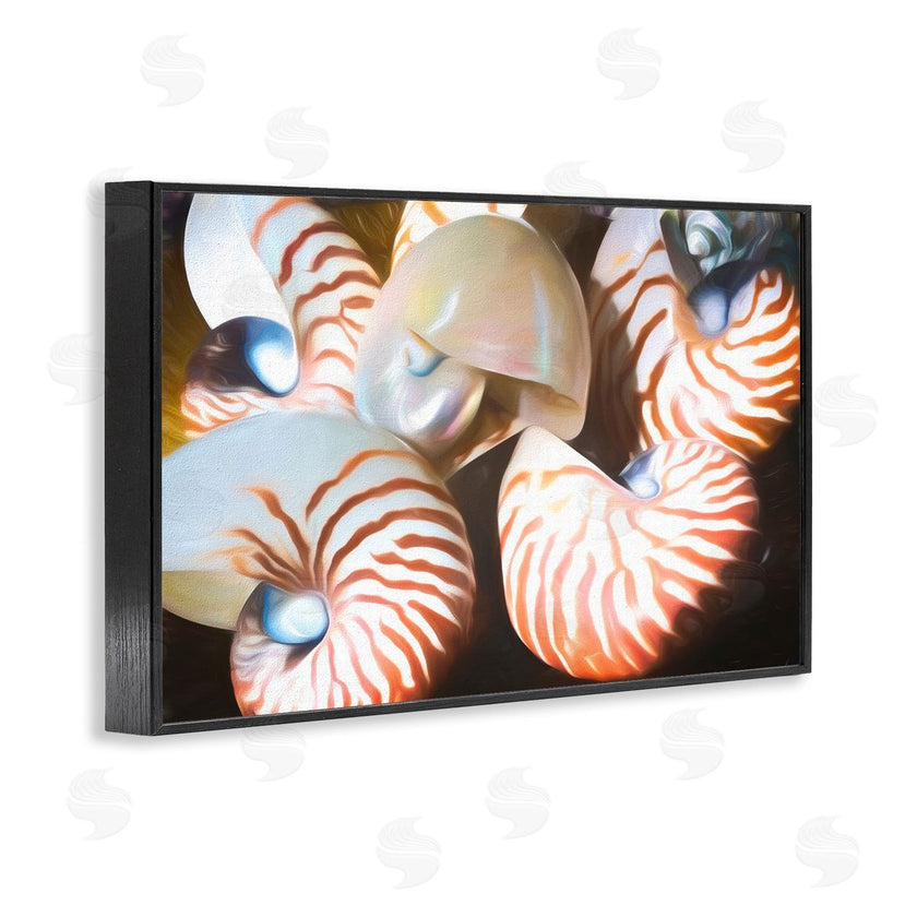 Graffi*tee Studios | Nautilus Shells Cluster