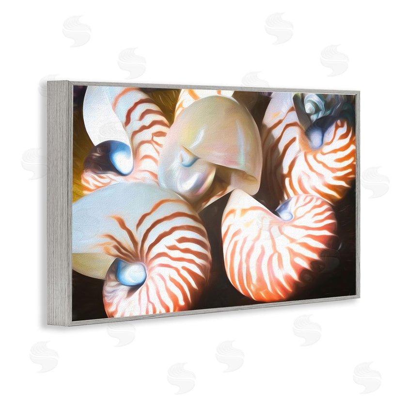 Graffi*tee Studios | Nautilus Shells Cluster