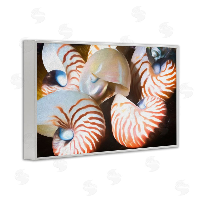 Graffi*tee Studios | Nautilus Shells Cluster
