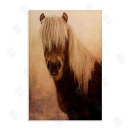 Graffi*tee Studios | Misty Morning Horse