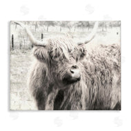 Graffi*tee Studios | Highland Cow Gazing Portrait