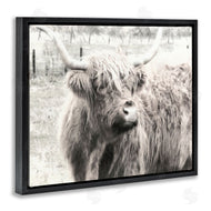 Graffi*tee Studios | Highland Cow Gazing Portrait