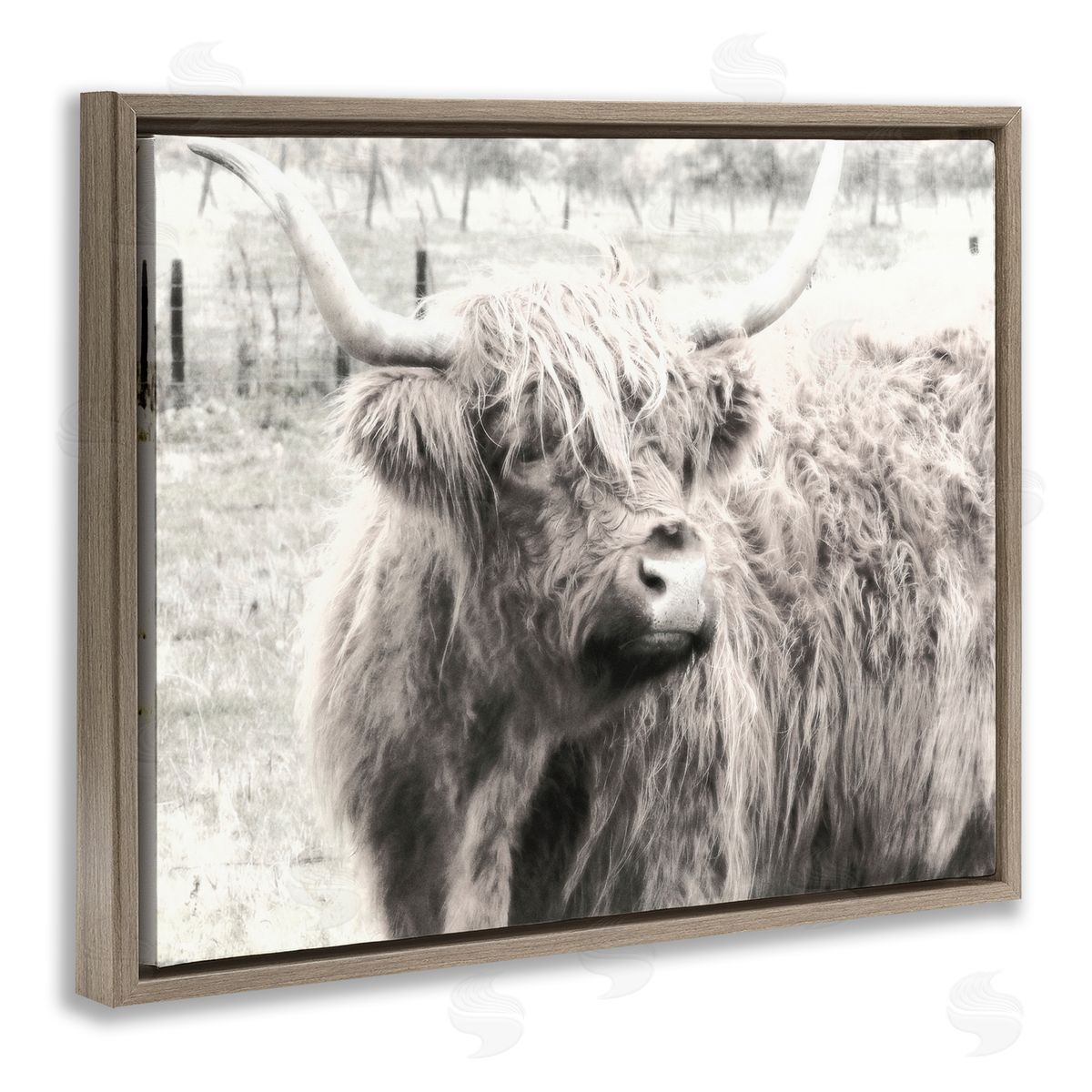 Highland Cow Gazing Portrait Brown Floating Frame Canvas Wall Art, Home Decor by Graffi*tee Studios
