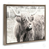 Graffi*tee Studios | Highland Cow Gazing Portrait