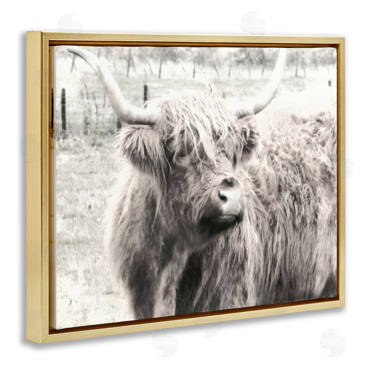 Highland Cow Gazing Portrait Gold Floating Frame Canvas Wall Art, Home Decor by Graffi*tee Studios