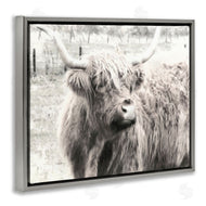 Graffi*tee Studios | Highland Cow Gazing Portrait