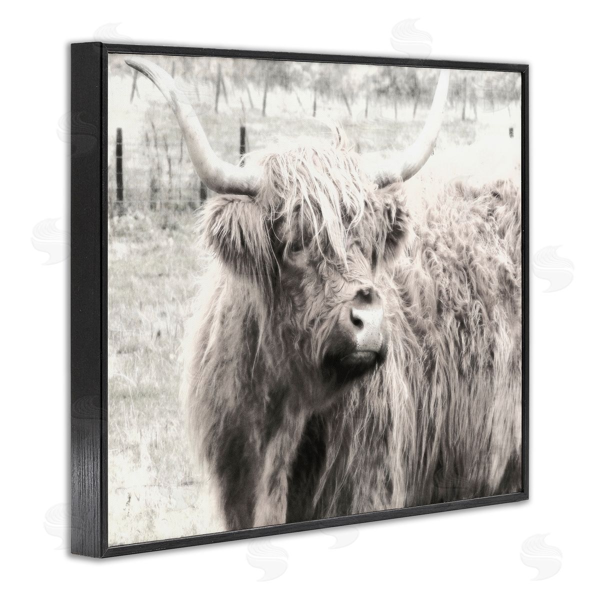 Highland Cow Gazing Portrait Black Frame Print Wall Art, Home Decor by Graffi*tee Studios