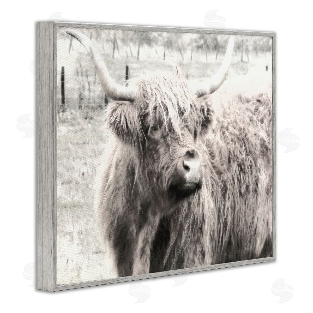 Highland Cow Gazing Portrait Grey Frame Print Wall Art, Home Decor by Graffi*tee Studios