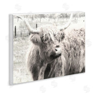 Graffi*tee Studios | Highland Cow Gazing Portrait