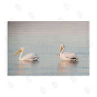Danita Delimont | Pelicans on Calm Waters