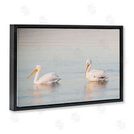 Danita Delimont | Pelicans on Calm Waters