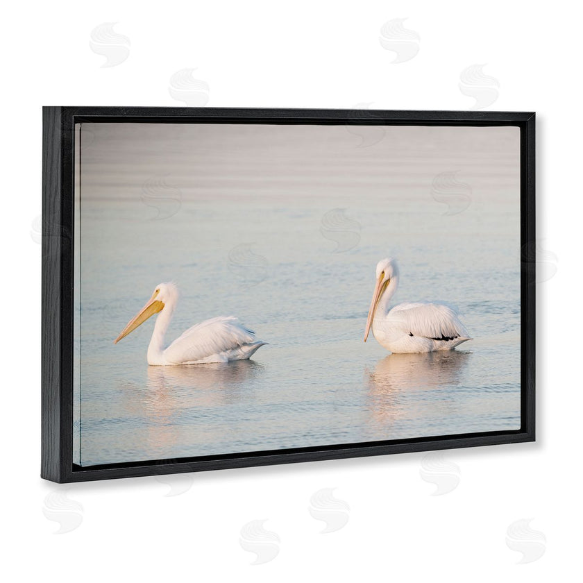 Danita Delimont | Pelicans on Calm Waters