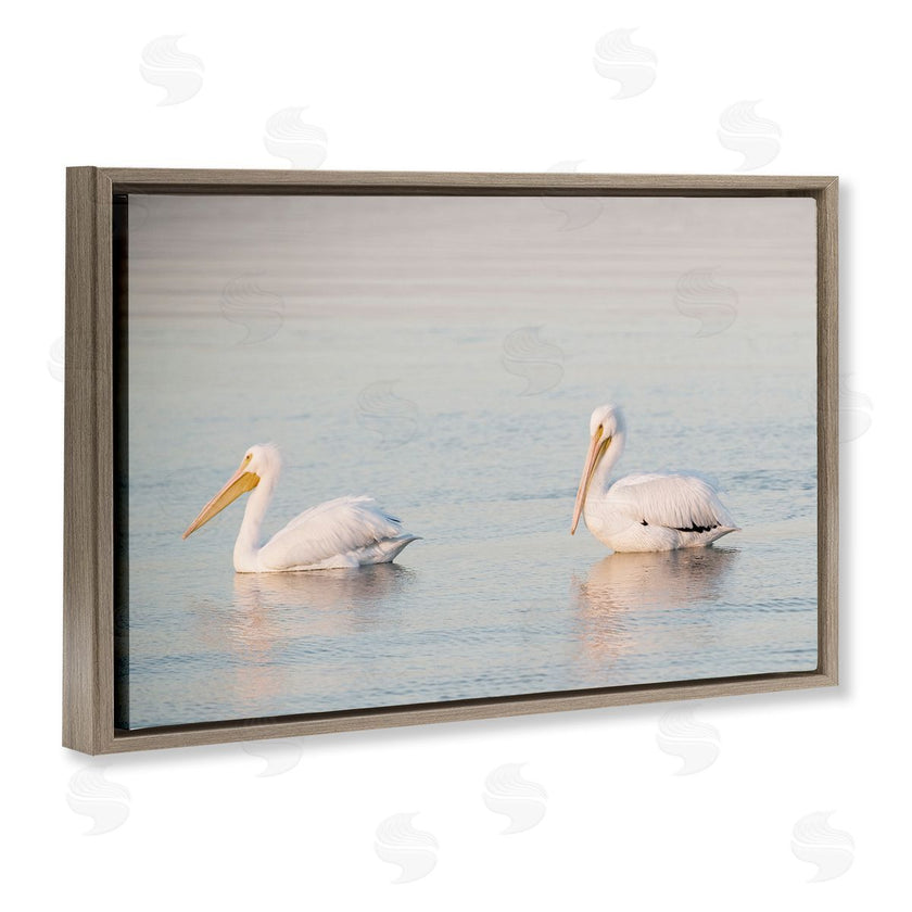 Danita Delimont | Pelicans on Calm Waters