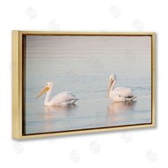 Danita Delimont | Pelicans on Calm Waters