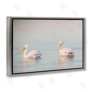 Danita Delimont | Pelicans on Calm Waters