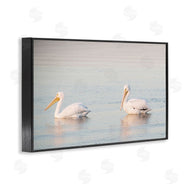 Danita Delimont | Pelicans on Calm Waters