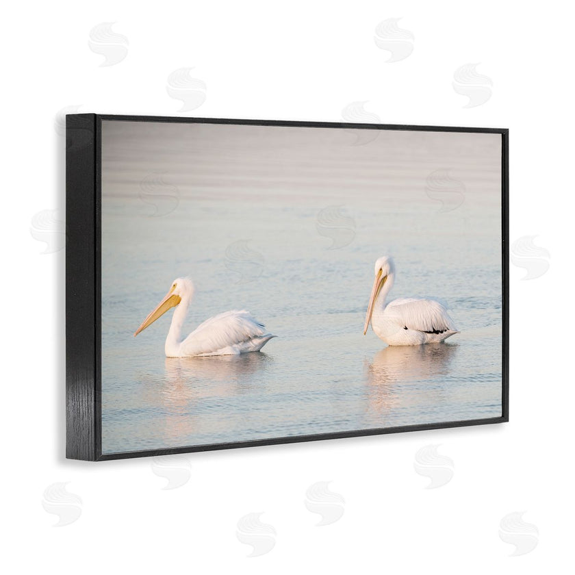 Danita Delimont | Pelicans on Calm Waters