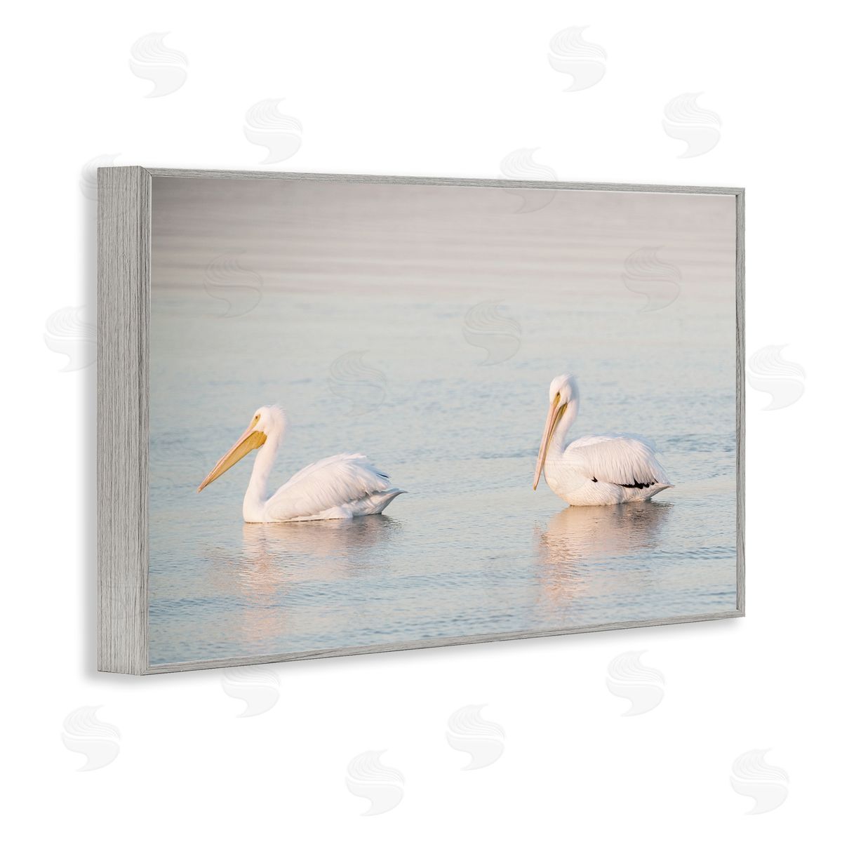 Pelicans on Calm Waters Grey Frame Print Wall Art, Home Decor by Danita Delimont