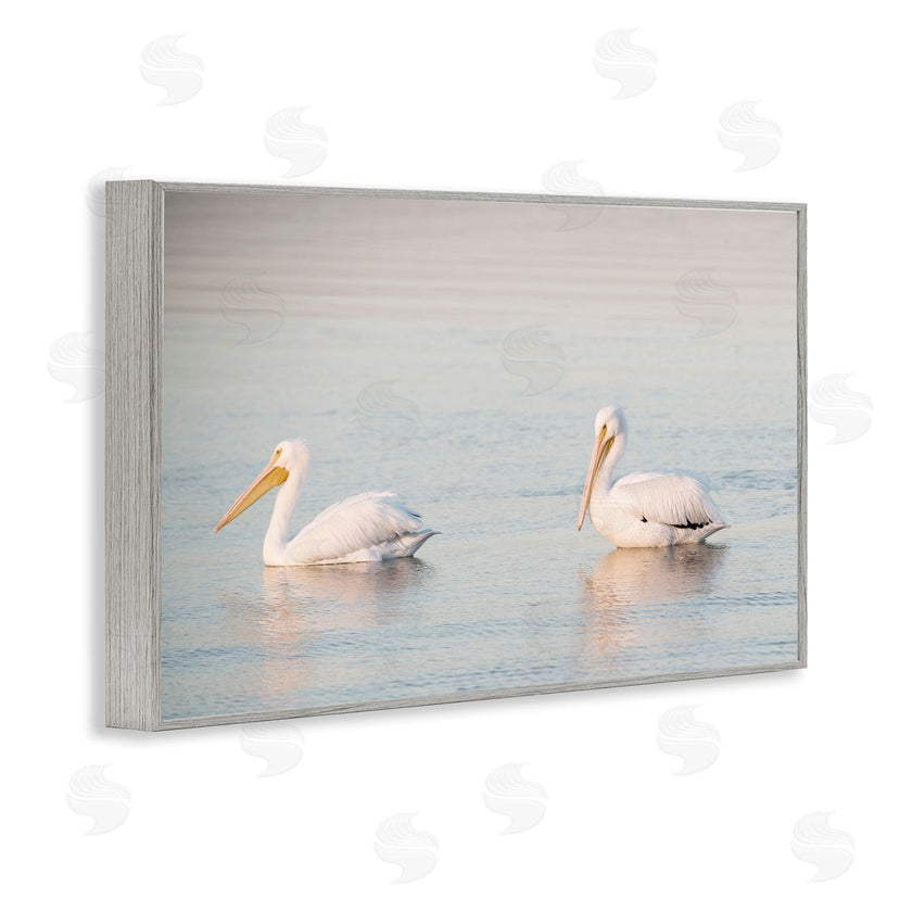 Danita Delimont | Pelicans on Calm Waters