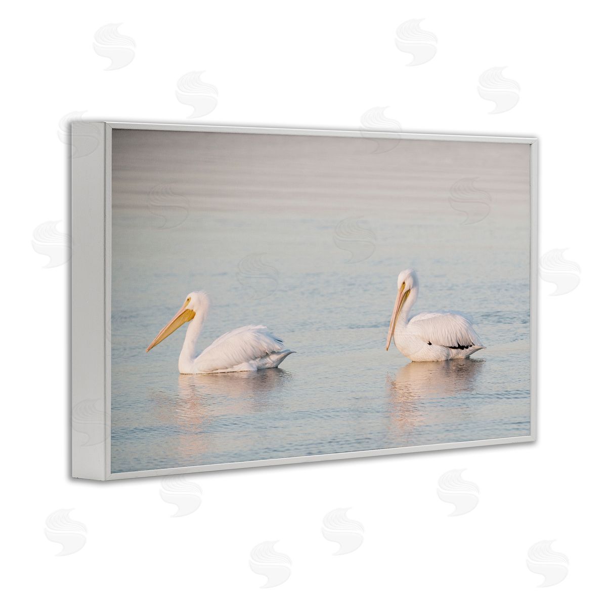 Pelicans on Calm Waters White Frame Print Wall Art, Home Decor by Danita Delimont