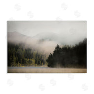 Carol Robinson | Rolling Fog Woodland View