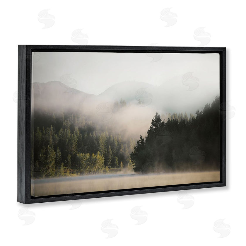 Carol Robinson | Rolling Fog Woodland View