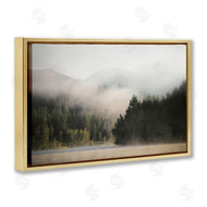 Carol Robinson | Rolling Fog Woodland View