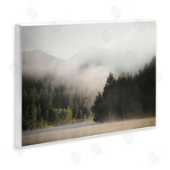 Carol Robinson | Rolling Fog Woodland View