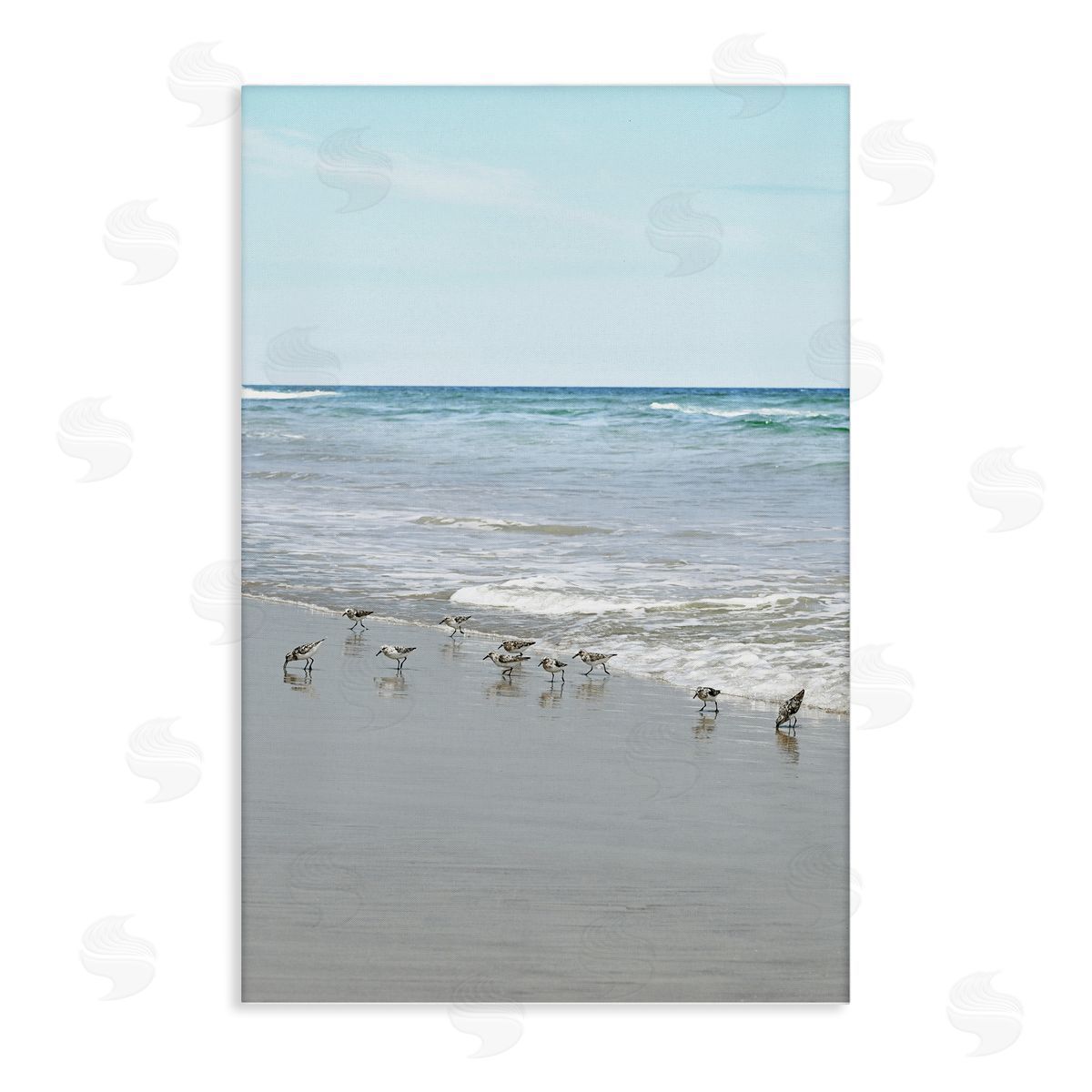 Energetic Beach Birds Canvas Wall Art, Home Decor by Natalie Carpentieri