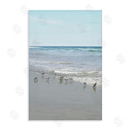 Natalie Carpentieri | Energetic Beach Birds