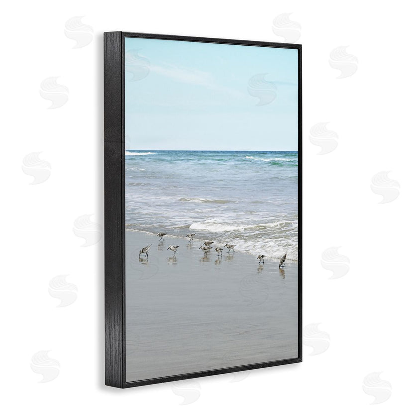 Natalie Carpentieri | Energetic Beach Birds