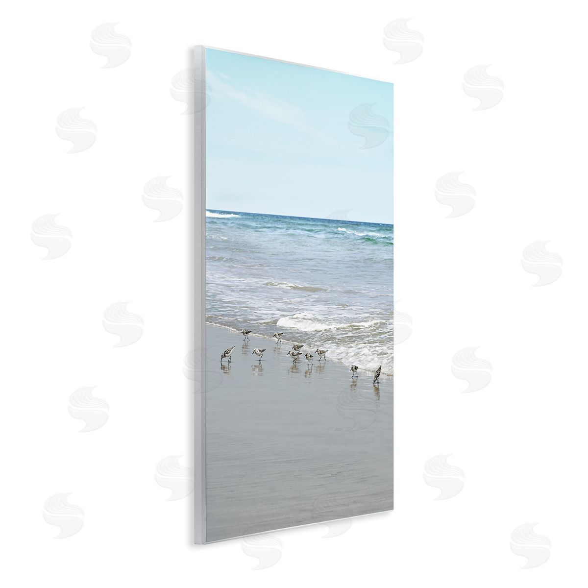 Energetic Beach Birds Wood Plaque Wall Art, Home Decor by Natalie Carpentieri
