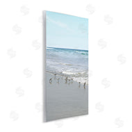 Natalie Carpentieri | Energetic Beach Birds