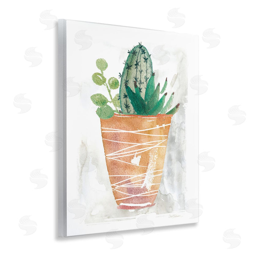 Carol Robinson | Cactus & Succulent Vase